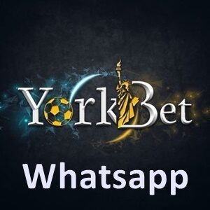 Yorkbet whatsapp